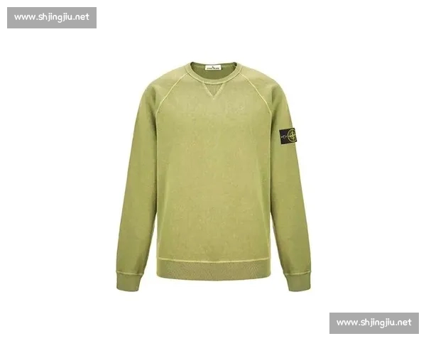 NBA手机版全新玩法解析与新手进阶阵容养成全面指南技巧汇总篇